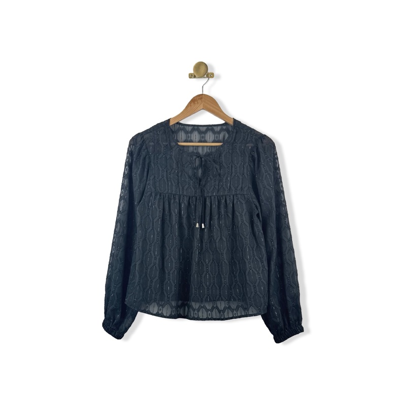 Sheer Metallic Long Sleeve Top