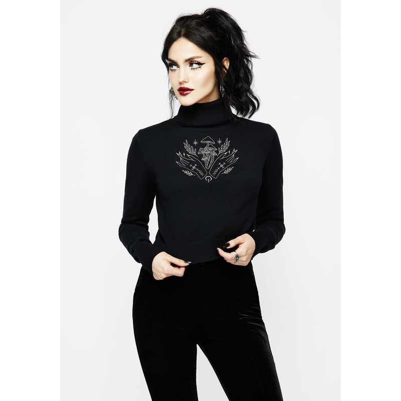 Mystify Embroidered Roll Neck Crop Jumper