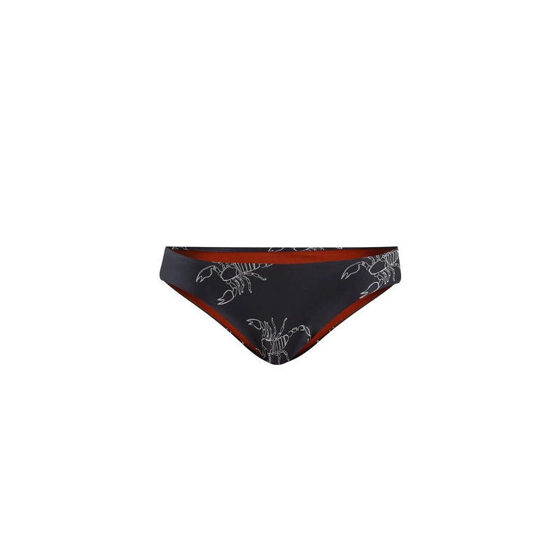 Bottom The Scorpio Icon