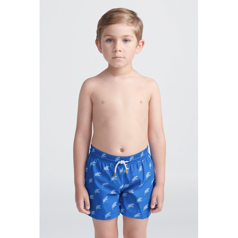 Mini Scorpian Trunk