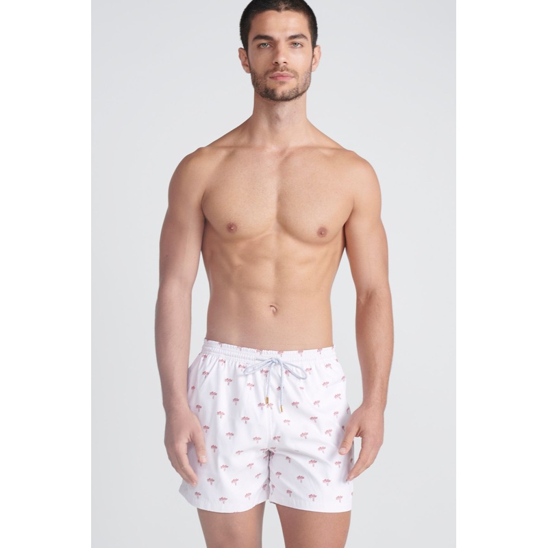 The Brazen Trunk