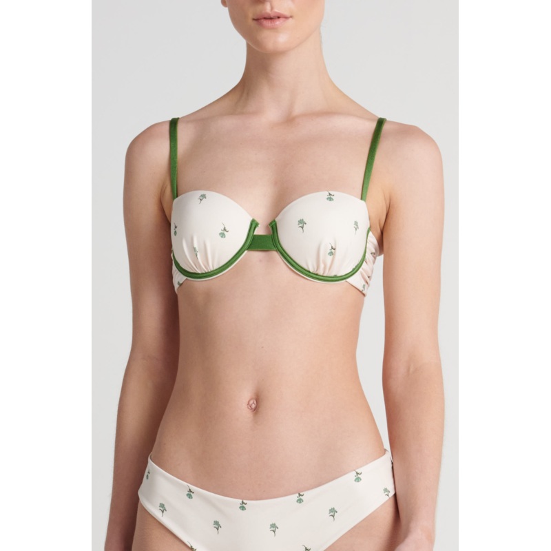 Top Cups Aurelia