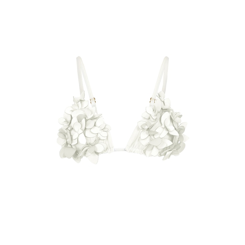 Top Ivory Dichotomy